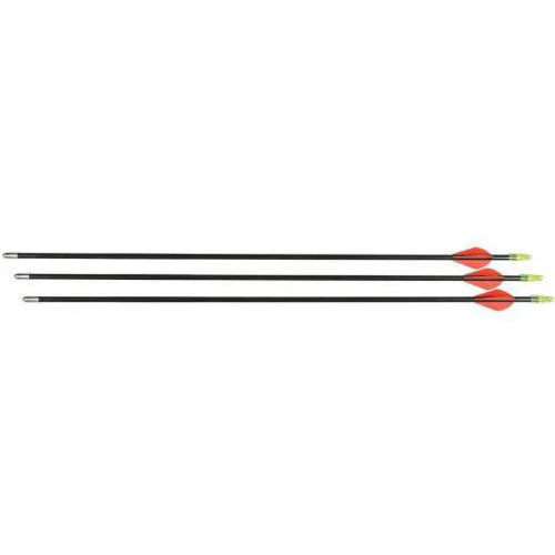 Allen Company 28 Fiberglass Youth Arrow