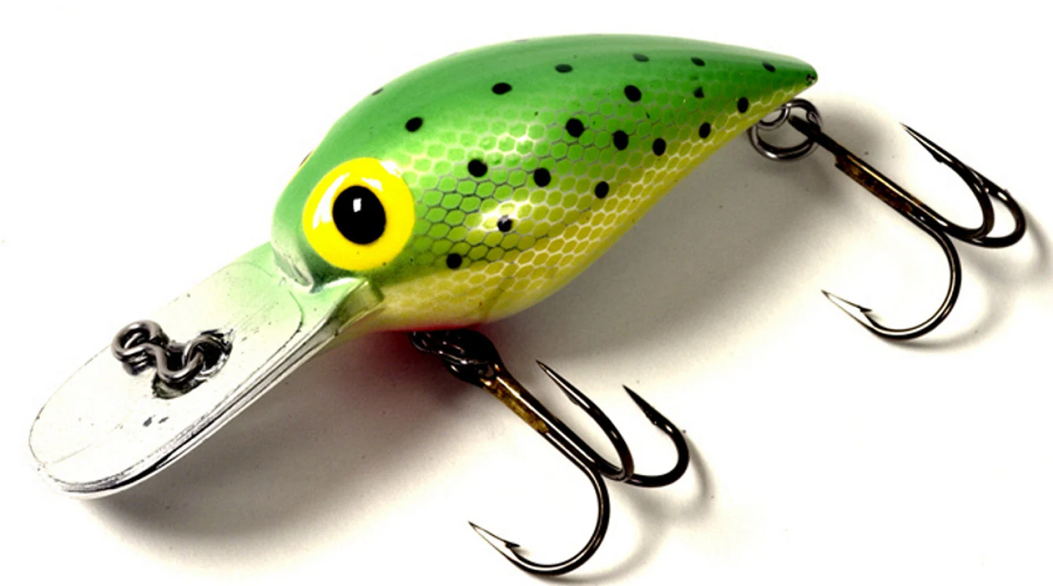 Brad's Wee Wigglers - Image 3