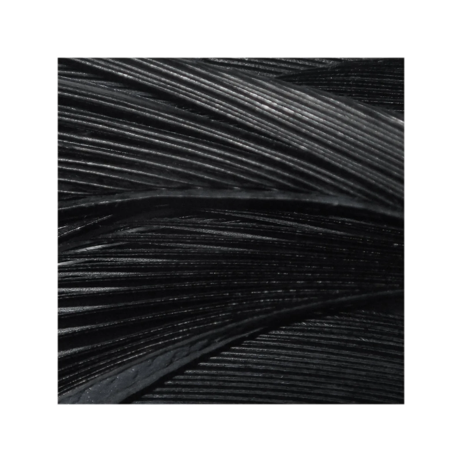 Goose Biots | Black