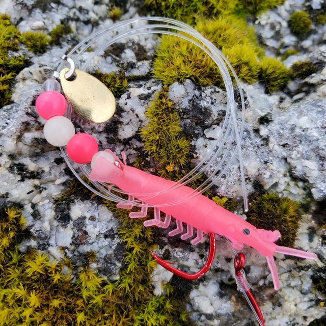 Lured Micro Shrimp - Image 5