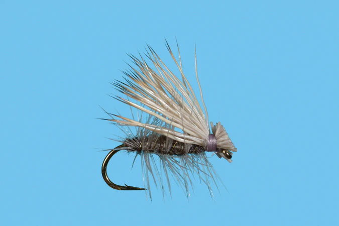 Solitude Fly Co Elk Hair Caddis - Image 4