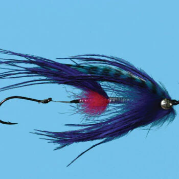 Solitude Signature Intruder - Image 8