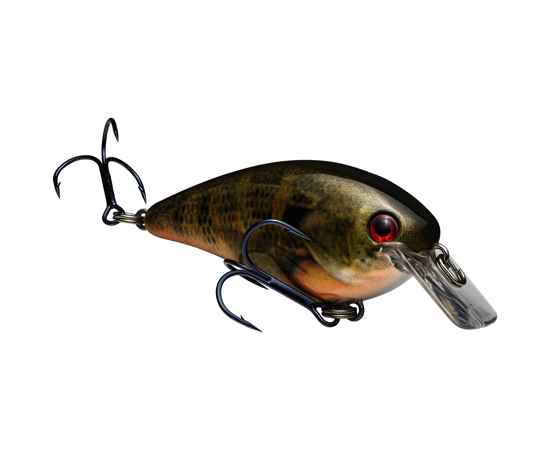 Strike King KVD Square Bill 1.5 Crankbaits - Image 6